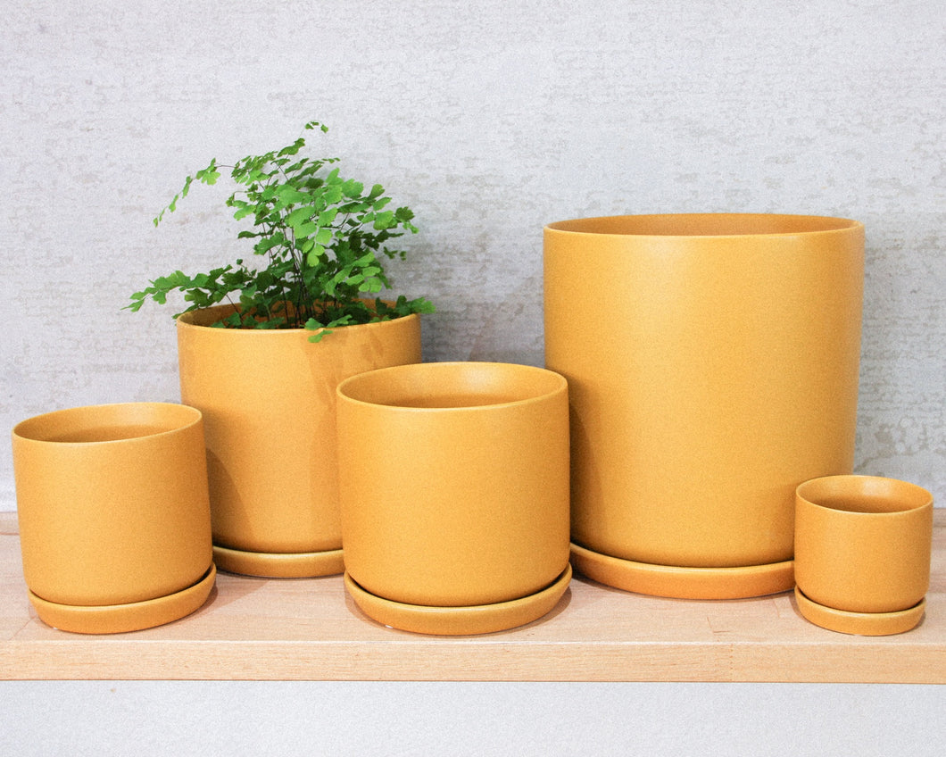 Cylinder Pot w/s - Matt Sunset