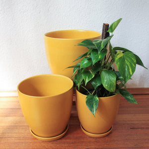 Tulip Pot - Matt Sunset [3 Sizes]