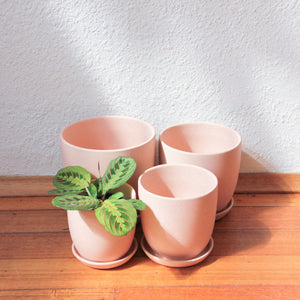 Tulip Pot - Matt Blush w/scr [4 Sizes]