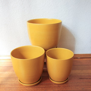 Tulip Pot - Matt Sunset [3 Sizes]