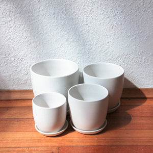 Tulip Pot - Matt White w/scr [4 Sizes]