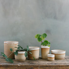 Load image into Gallery viewer, Leaf and Thread Stoneware Planter - Desert
