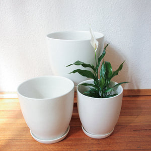 Tulip Pot - Matt White [3 Sizes]