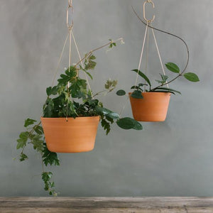 Leaf & Thread Hanging Planter - Terracotta