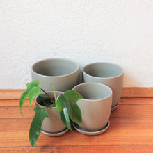 Load image into Gallery viewer, Tulip Pot - Matt Grey w/scr [4 Sizes]
