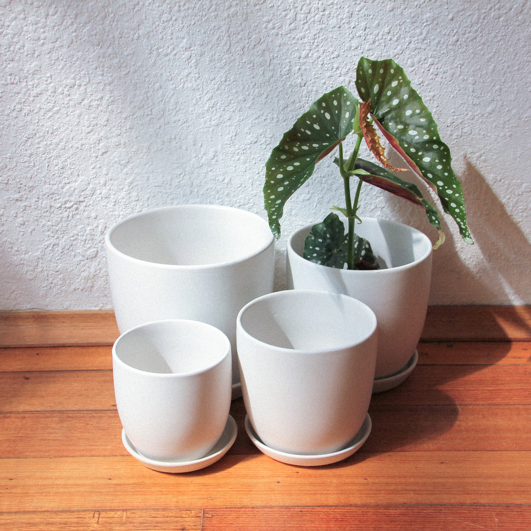 Tulip Pot - Matt White w/scr [4 Sizes]