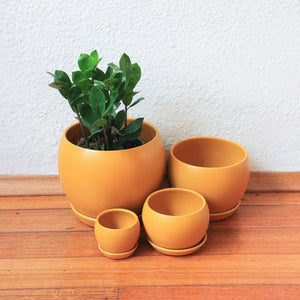 Ball Pot - Matt Sunset w/scr [4 Sizes]